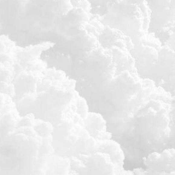 Meet your Posher, Paige - Picture 1 of 1